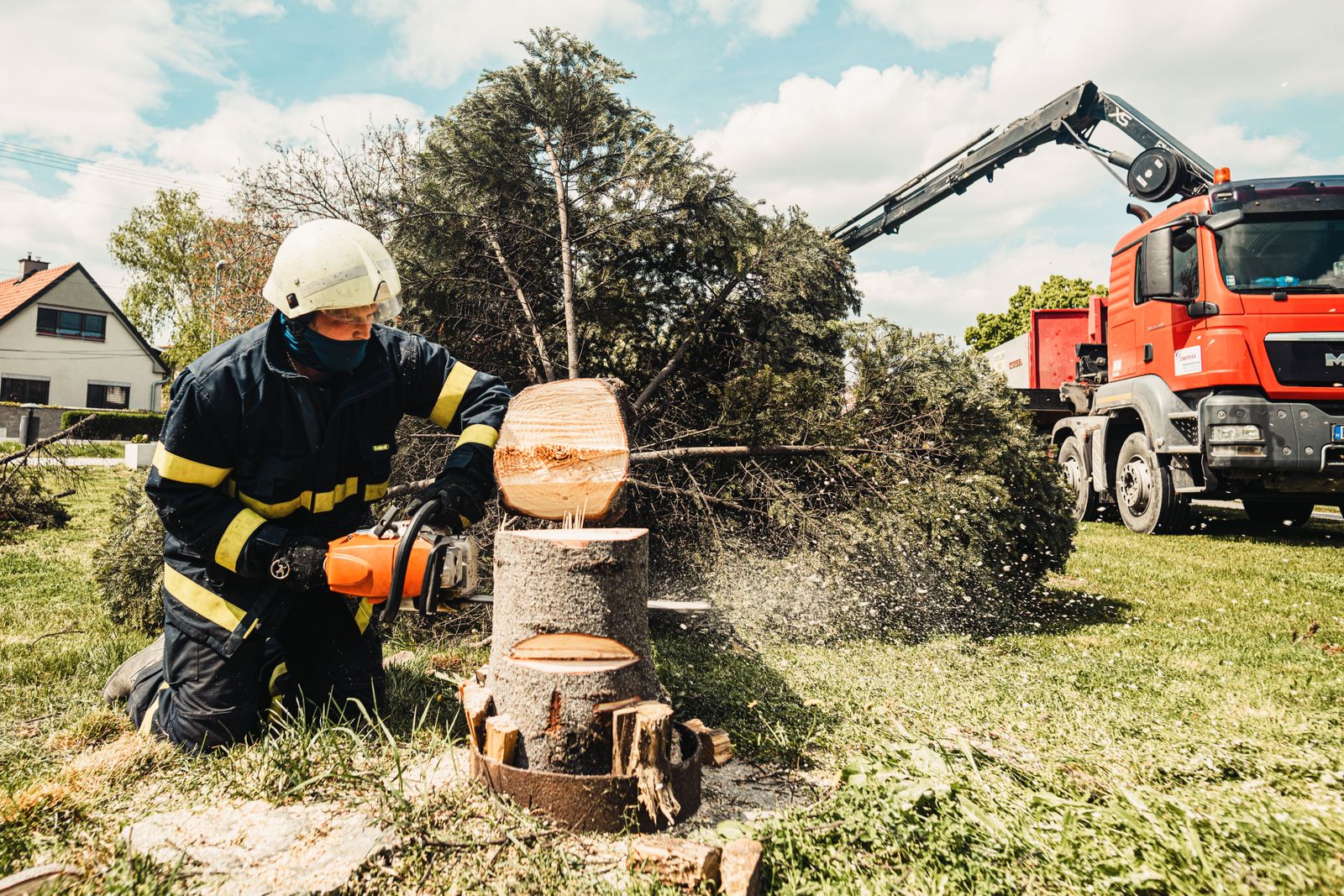 Tree Removal service in Spartanburg, SC